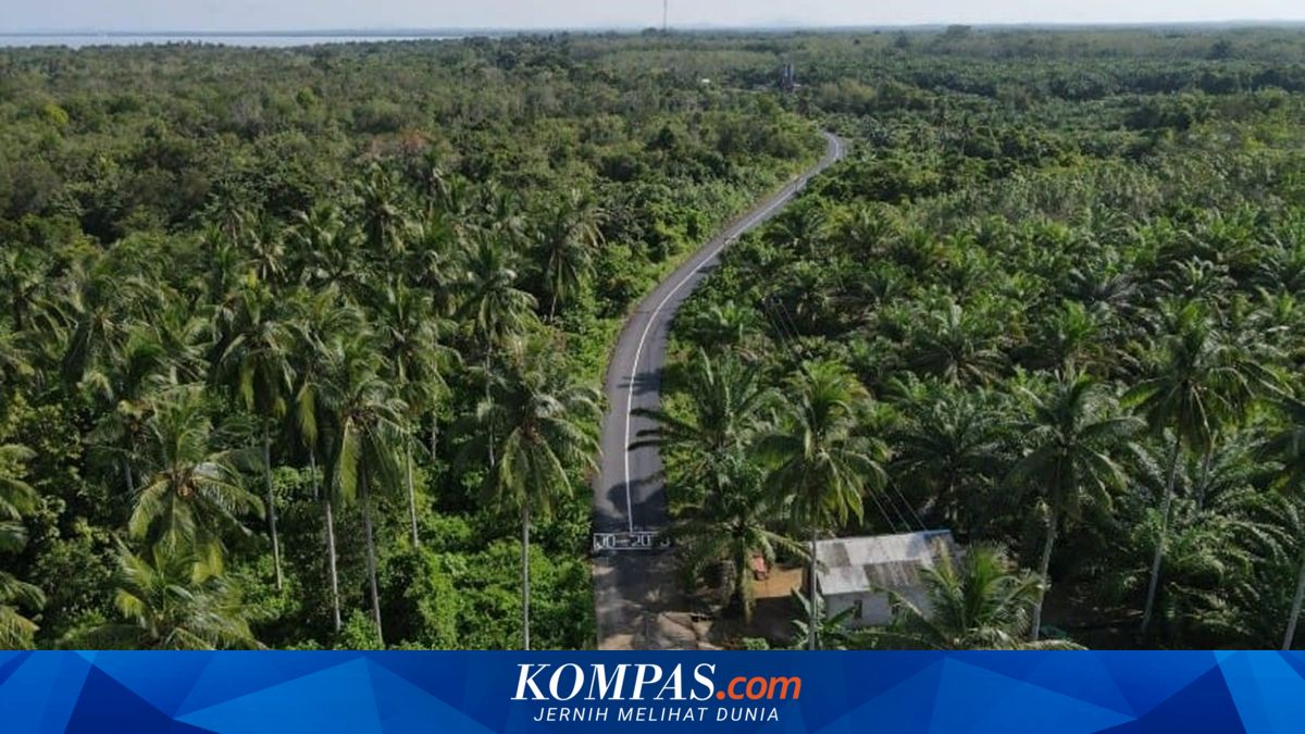 Jalan Baru Ini Buka Akses ke Pantai-Pantai Favorit Kotabaru