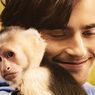 Sinopsis Film Gigi & Nate, Persahabatan Manusia dengan Monyet