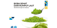 Sehat dan Nikmat dengan Boba Rumput Laut