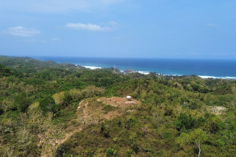 Lokasi kawasan rencana beach club di Kalurahan Ngestiharjo, Tanjungsari, Gunungkidul. Rabu (12/6/2024)