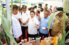 Bea Keluar Dinilai Strategis untuk Disiplin Ekspor Batu Bara