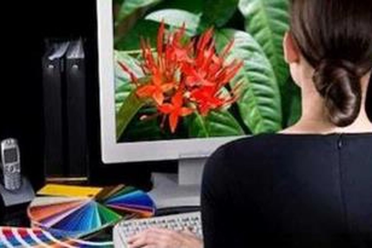 Seorang desainer grafis tak harus bergabung dengan perusahaan. Ia bisa menjadi desainer paruh waktu yang bekerja sendiri di rumah.