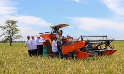 Sektor Pertanian Sumbang 14,35 Persen dari PDB, Mentan: Penggerak Utama Ekonomi Rakyat