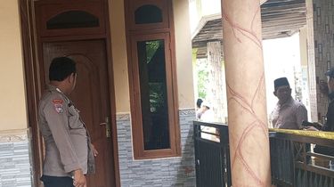 Balita Tewas Diserang Monyet yang Lepas dari Kandang di Pamekasan