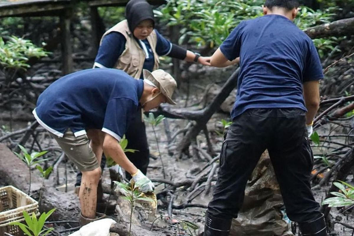Kolaborasi Telkom dan AYS Indonesia dalam kegiatan konservasi bekantan dan penanaman mangrove di Tarakan, Kalimantan Utara beberapa waktu lalu.