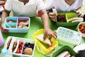 Ratusan Anak Keracunan Makanan di Sekolah, Pemilik TK di China Dihukum Penjara Seumur Hidup