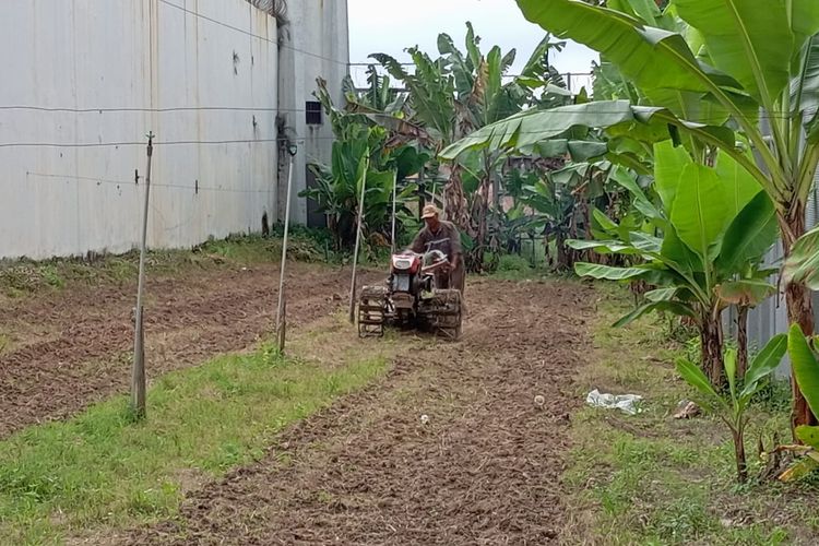 Seorang warga Binaan Rutan Batam sedang melakukan pembajakan lahan sisa yang ada di Rutan Batam Kelas IIA. Lahan ini disulap menjadi lahan produktif guna modal bagi warga binaan untuk mengembangkan keterampilan dan kemandirian mereka setelah mereka berada diluar, khususnya perkebunan dan pertanian.