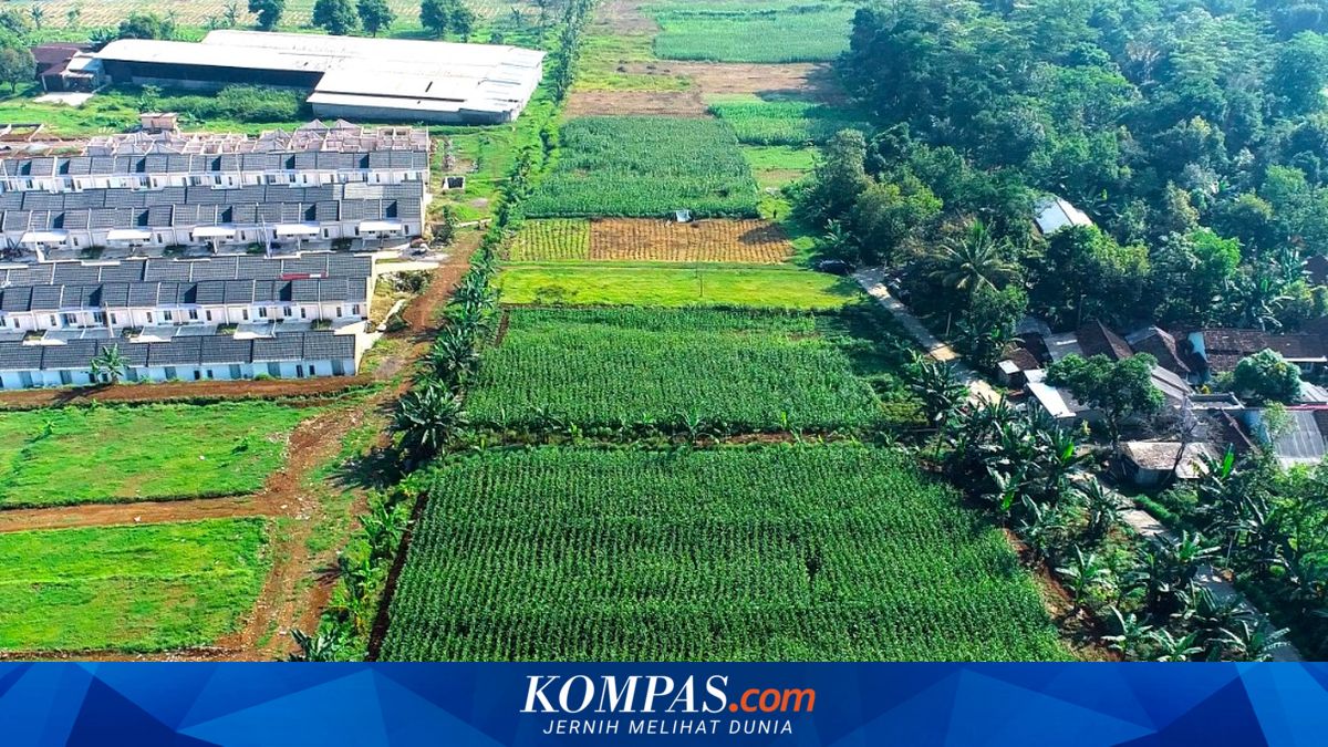 12 Ahli Bela Konstitusionalitas Badan Bank Tanah di Mahkamah Konstitusi