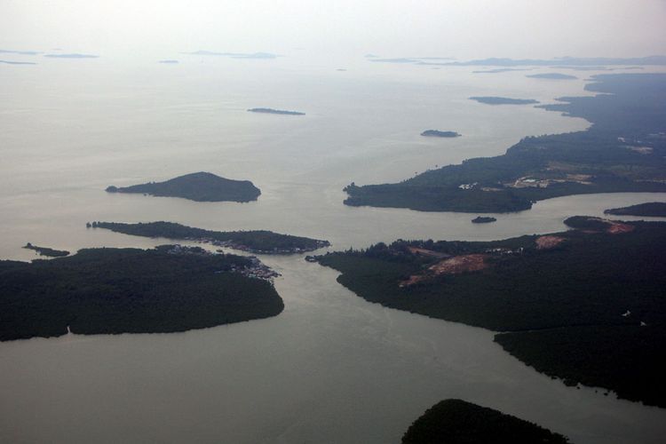 Kurangi Impor Sapi Pulau Ini Akan Jadi Peternakan Sapi Terbesar