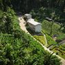 Lindungi Flora dan Fauna Endemik Halmahera, IWIP Resmikan 