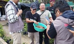 Di Lampung, Maggot Mampu Kurangi Sampah Organik hingga 1 Ton 