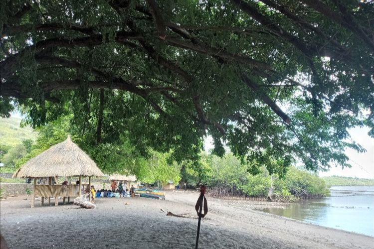 Foto: Pantai Weru di Desa Watotutu, Kecamatan Ile Mandiri, Kabupaten Flores Timur, NTT.