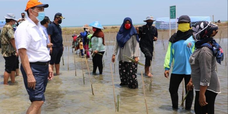 Tidak Disangka, Demi Mangrove, Luhut Perintahkan Deputinya Lobi Eropa dan Abu Dhabi