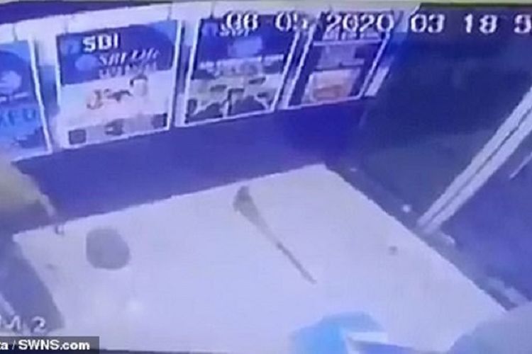 Rekaman CCTV di Bank Sentral India memperlihatkan seekor memanjat mesin ATM, dan kemudian membuka bagian depannya.