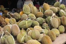 Durian Pelangi Manokwari Diincar Malaysia dan Thailand