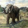 Seperti Apa Gigi Mastodon yang Ditemukan di Pantai California?