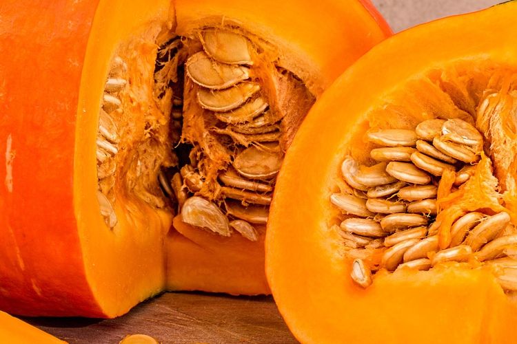 Ilustrasi labu kuning. 