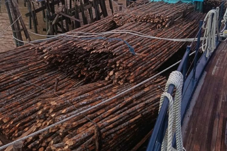 Barang bukti kayu teki yang disita DJBC Riau di Kepulauan Meranti, Riau, Kamis (4/1/2021). Kayu tersebut hendak diselundupkan ke Malaysia.