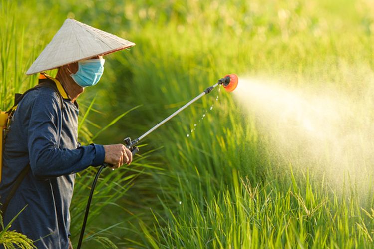 Ilustrasi aplikasi pestisida nabati