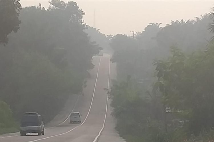 Kabut asap karhutla terlihat pekat di ruas jalam lintas Pelalawan-Pekanbaru, Riau, Sabtu (3/8/2019).