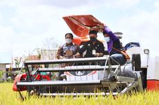 Akan Bangun 2.358 Kampung Hortikultura, Kementan Dapat Dukungan dari DPR