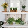 6 Ide Rak Tanaman yang Membuat Rumah Terlihat Lebih Asri