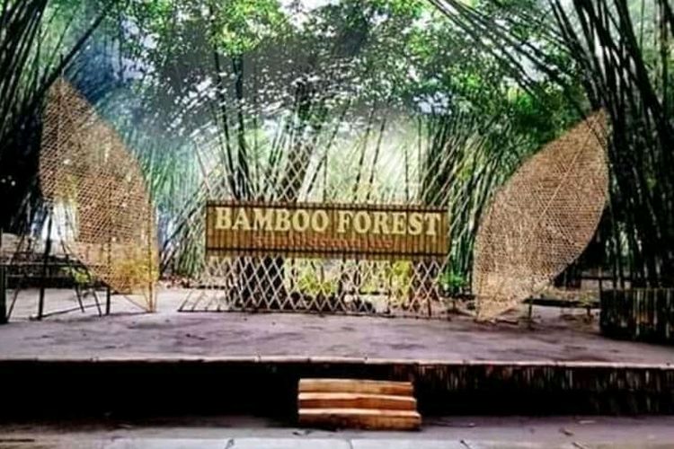 Hutan Bambu Lumajang, Jawa Timur. 