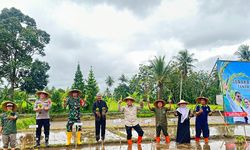 Akselerasi Upsus LTT Padi Nasional 2023, Kementan Ajak Petani Percepat Masa Tanam