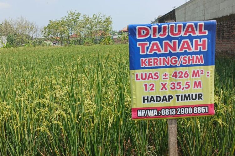 Pengecekan Sertifikat Tanah: Langkah Awal untuk Memastikan Legalitas