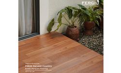 Cocok untuk Desain Rumah Minimalis, Fergio Sediakan Lantai Kayu Berkualitas dengan Corak Beragam