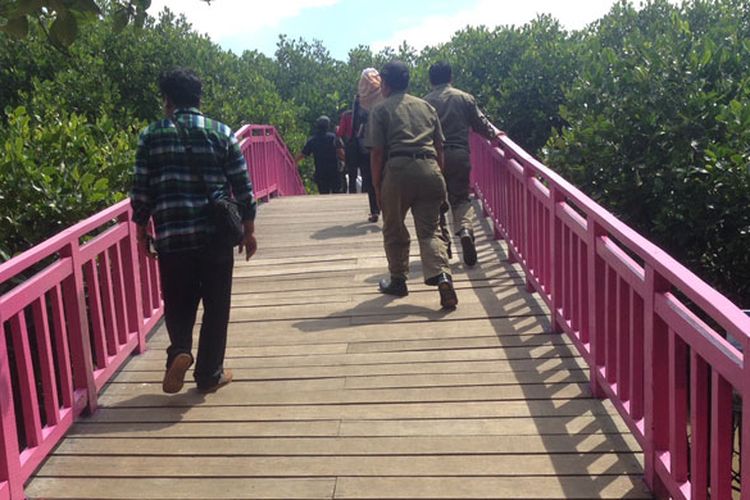 Wisata susur mangrove di Desa Kaliwingi, Kecamatan Brebes, Kabupaten Brebes, Jawa Tengah.