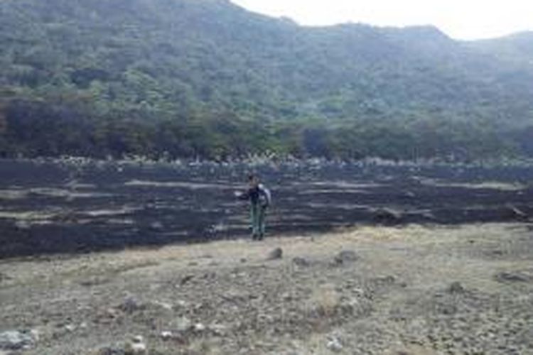 Petugas Balai Besar Taman Nasional Gunung Gede Pangrango memantau tempat kejadian kebakaran yakni Lembah Suryakencana, Gunung Gede, Jawa Barat.