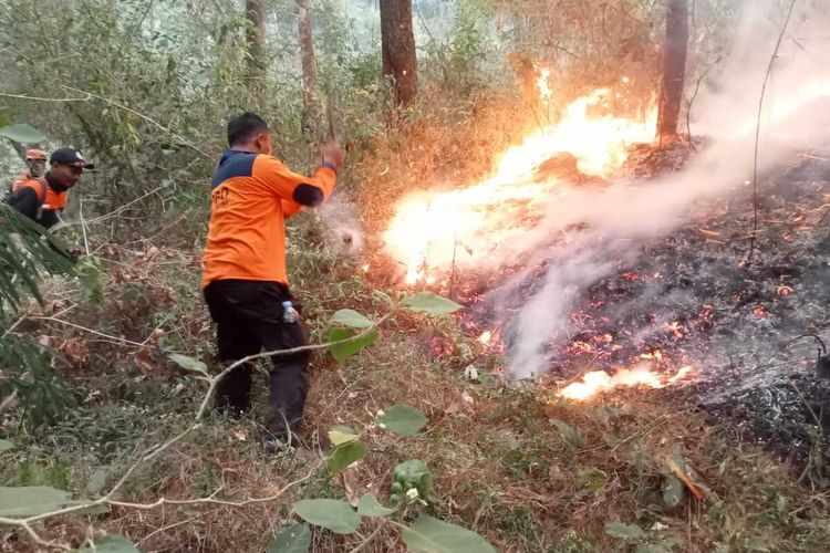 Proses pemadaman darat kebakaran Gunung Lawu