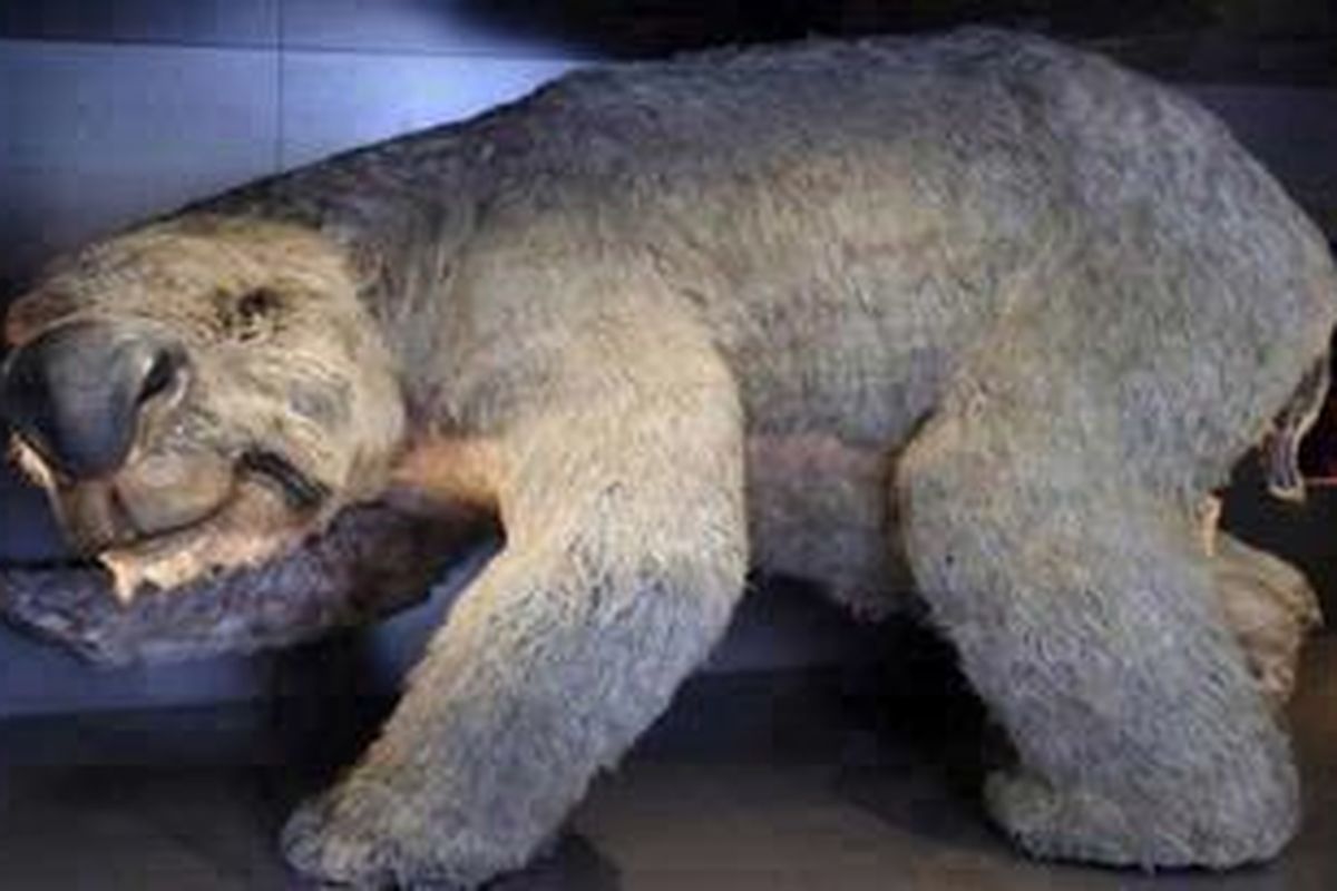 Ilustrasi: Rekonstruksi hewan marsupial purbakala diprotodon.