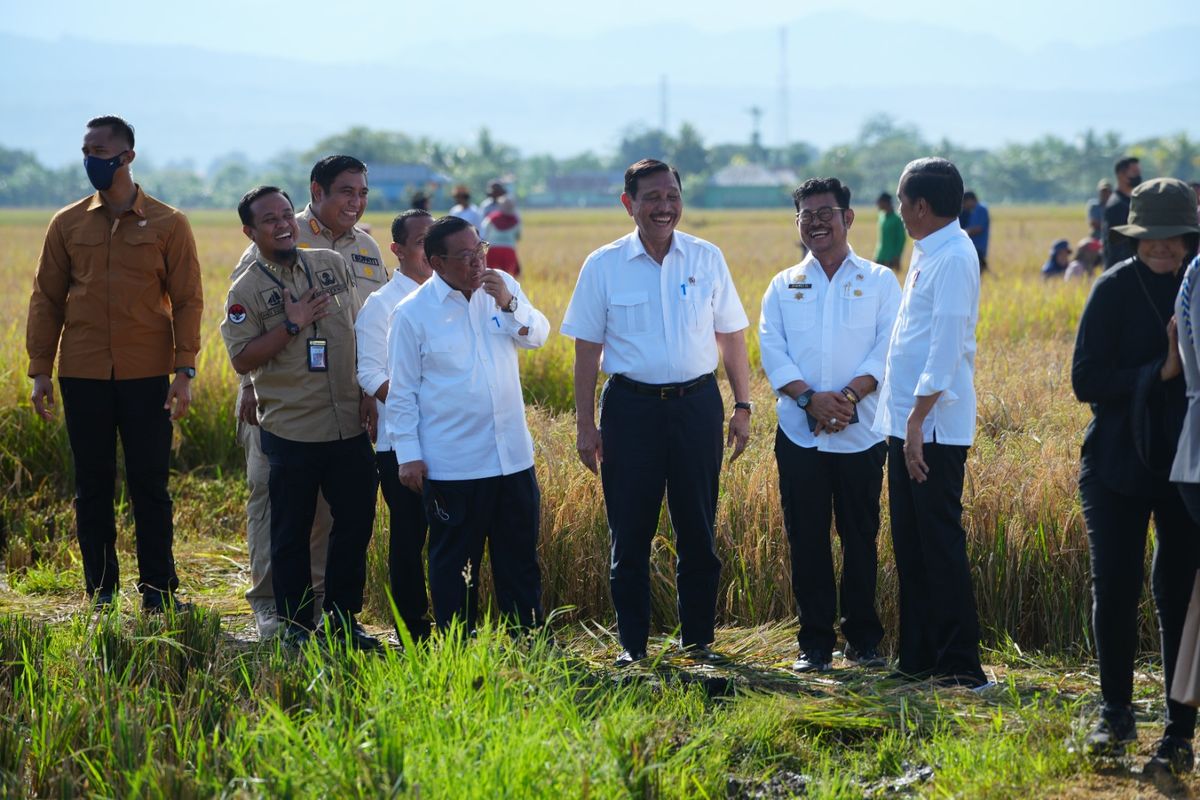 Menteri Pertanian (Mentan) Syahrul Yasin Limpo (SYL) saat mendampingi Presiden Republik Indonesia (RI) Joko Widodo (Jokowi) meninjau jalannya panen raya padi di Kelurahan Baji Pamai, Kecamatan Maros Kota, Kabupaten Maros, Sulsel, Kamis (31/3/2023).
