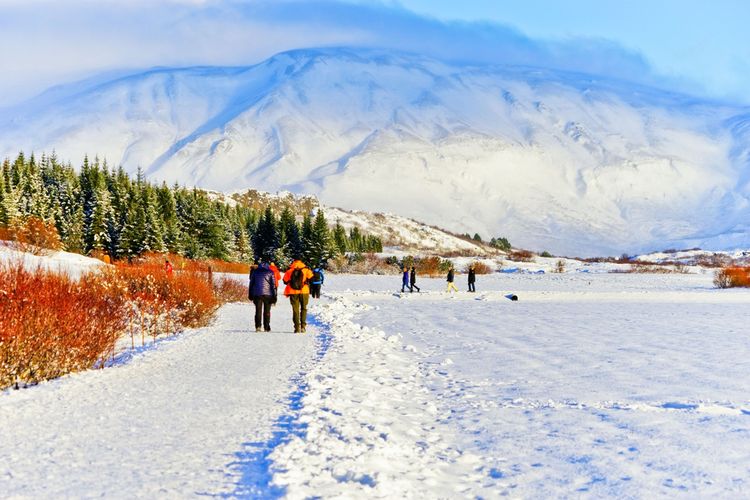 Taman Nasional Þingvellir