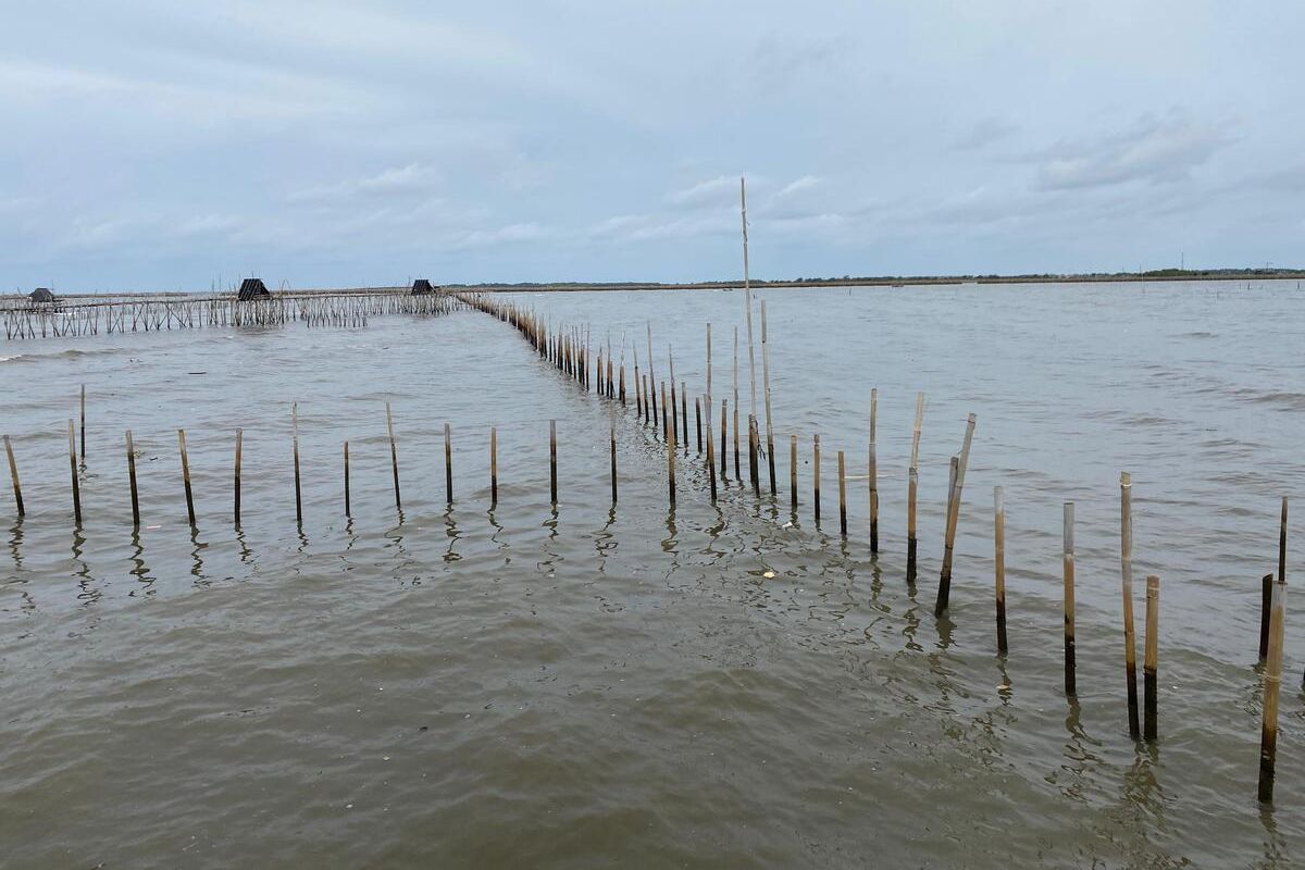 Pagar laut misterius dari bambu di Kampung Kohod, Desa Pakuhaji, Kabupaten Tangerang, Kamis (9/1/2025).