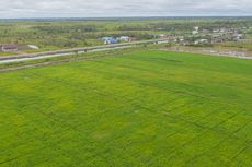 Perlu Sinergi dari Lintas Sektoral untuk Sukseskan Program Food Estate