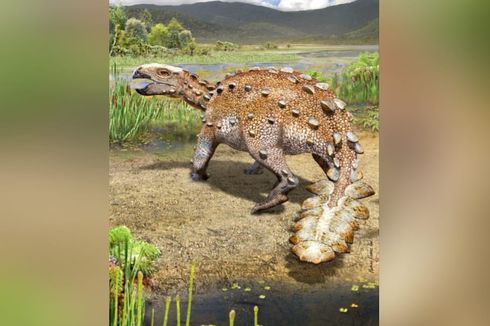 Unik, Peneliti Temukan Fosil Dinosaurus Ekor Lapis Baja di Chili