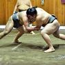 Sumo, Olahraga Gulat Tradisional Jepang