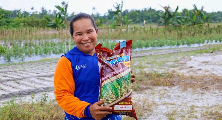 Padi Gogo, Solusi Strategis untuk Ketahanan Pangan IKN