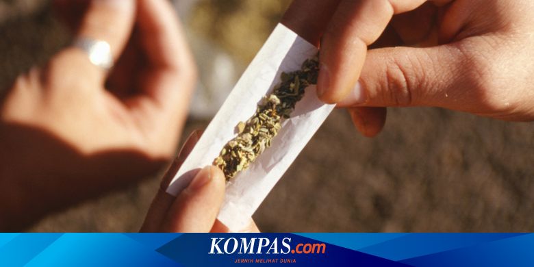 Membandingkan Ganja Dan Sabu Yang Menjerat Para Artis Halaman All Kompas Com