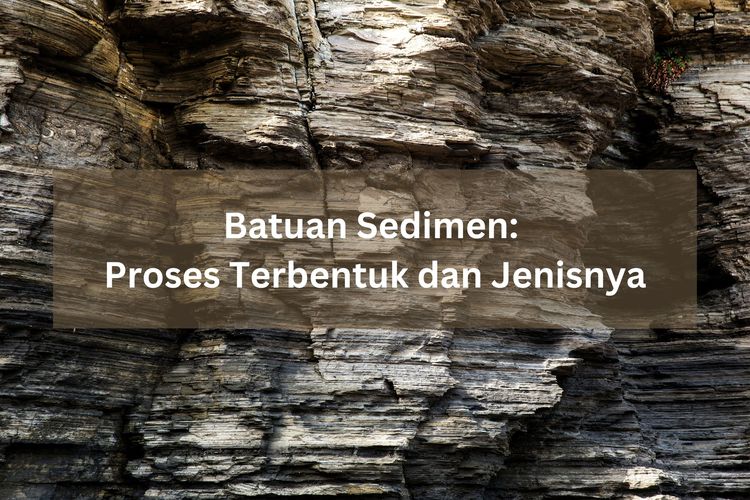 Pengertian Batuan Sedimen Dan Jenis Jenisnya Proses P