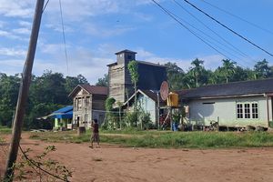 Gedung Walet Tak Lagi Riuh Cuan, Warga Tumbang Kalang Kalteng Terpaksa Tutup Usaha