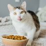 Ragam Makanan Natal yang Boleh dan Harus Dihindari Kucing Peliharaan