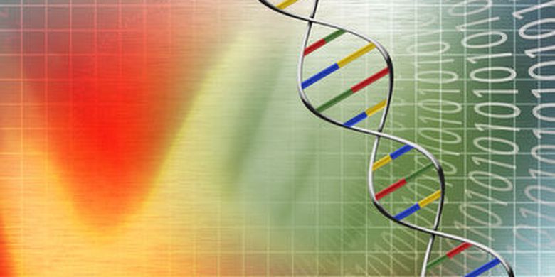 Soal Uas Biologi Perbedaan Dna Dan Rna Halaman All Kompas Com