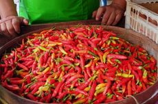 Banjir di Sumatera: Biaya Perbaikan Mobil Bisa Mencapai Rp 150 Juta