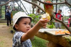 8 Aktivitas Liburan Sekolah di Bandung, Bisa Kemah dan Naik Kuda