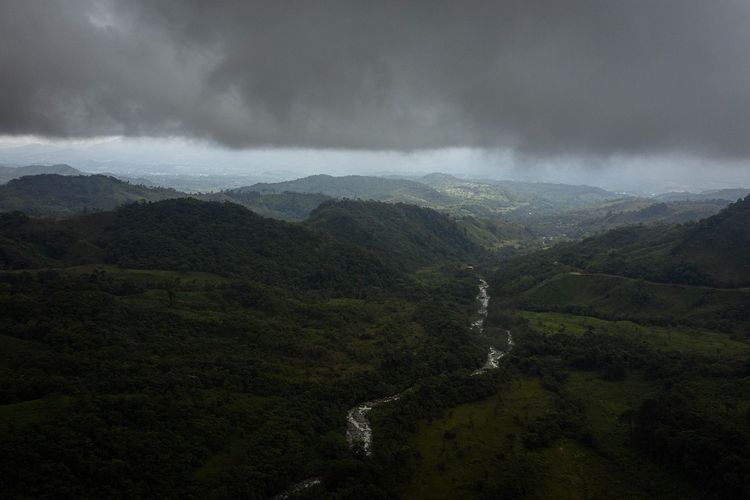 Ilutrasi hutan Amazon yang melintasi sembilan negara Amerika Selatan, termasuk Brasil.