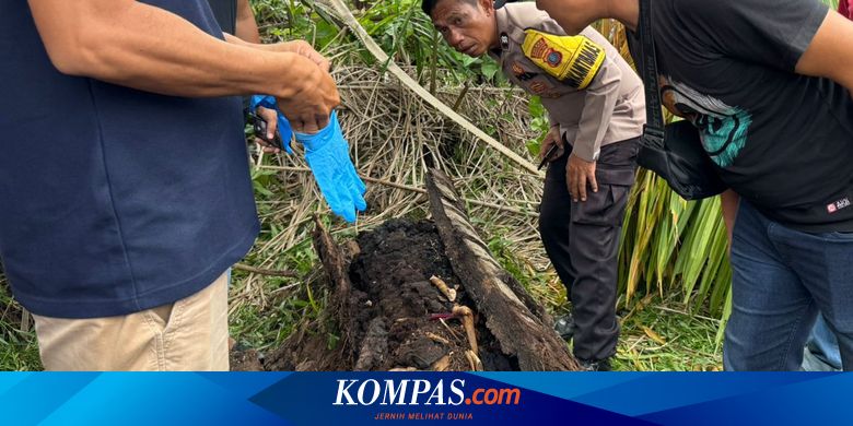 Duduk Perkara Penemuan Kerangka di Pohon Aren, Diduga Yudha Pemuda Hilang 2 Tahun Lalu
